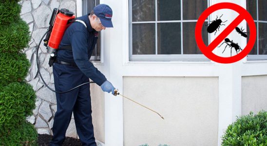 Görele Kemirgen İlaçlama böcek ilaçlama ve haşere kontrolü — ilaclama-tr.com